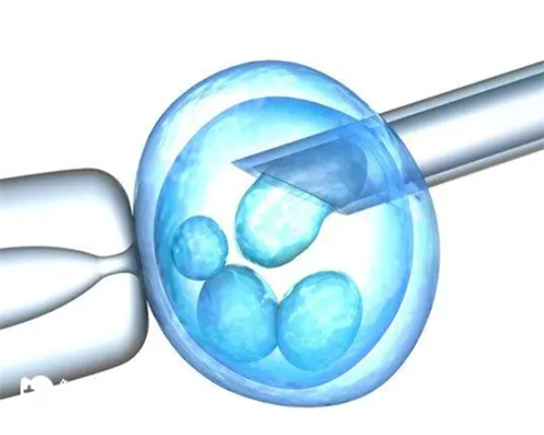 天津试管婴儿医院选择指南与正规排名解析