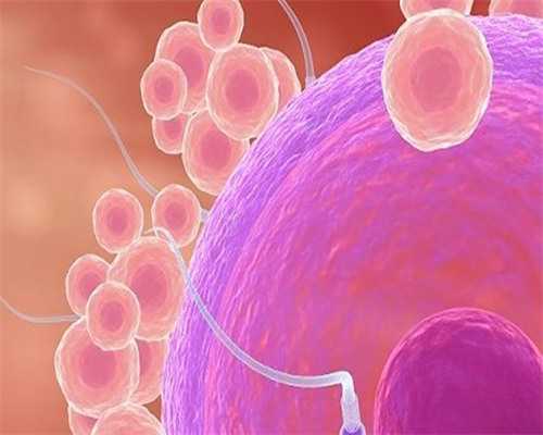 哪家医院试管成功率高？选择优质生殖医院的关键因素