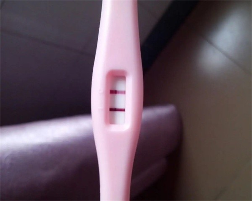 天津供卵代怀费用与流程详解，助您实现生育梦想