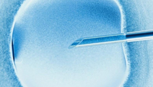 天津代怀宝宝男孩与卵巢切除试管助孕指南及费用解析