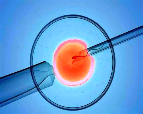 天津代生套餐与供卵试管费用解析及流程指南