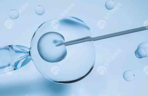 卵巢切除后试管婴儿选择与助孕费用解析