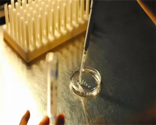 试管助孕机构权威排名及费用成功率解析