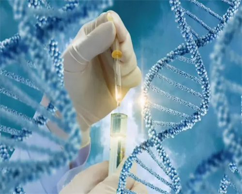 供卵试管助孕费用解析及代怀机构选择指南