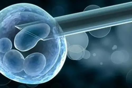 <strong>试管婴儿费用解析与性价比考量</strong>