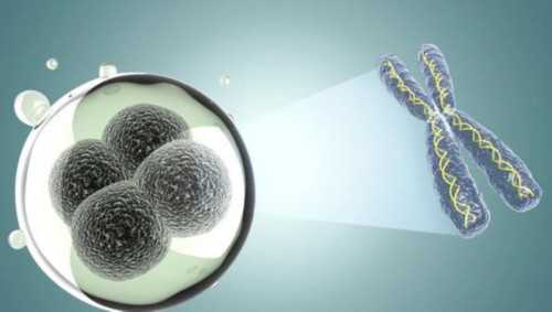 正规代妈机构与精子库服务指南